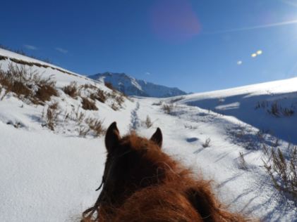 Riding horses in the mountains